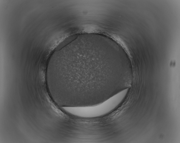 X0000090770393200708031657