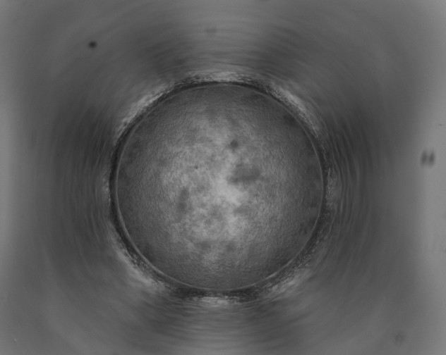 X0000090770394200708031657