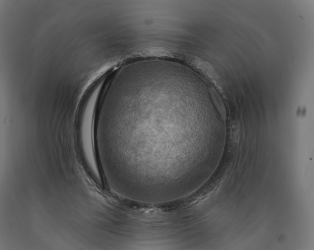 X0000090770395200708031657