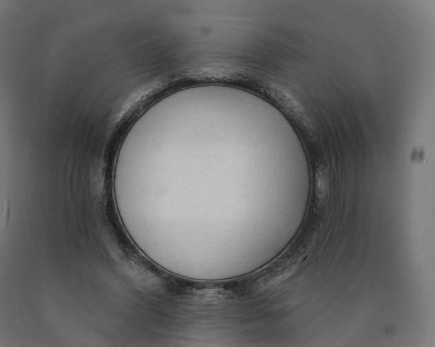 X0000090770396200708031657