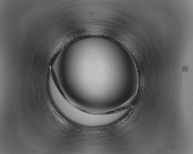 X0000090770397200708031657