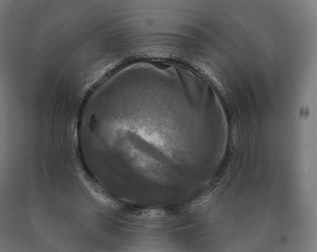 X0000090770398200708031657