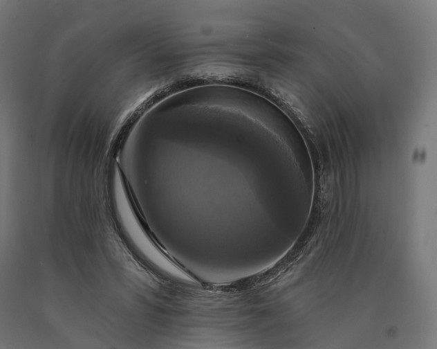 X0000090770399200708031657