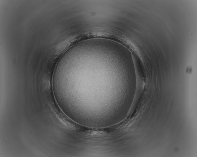 X0000090770401200708031657