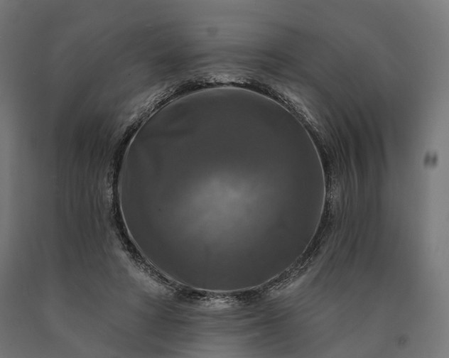 X0000090770402200708031657