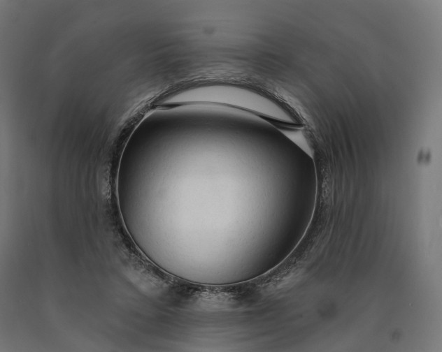 X0000090770403200708031657