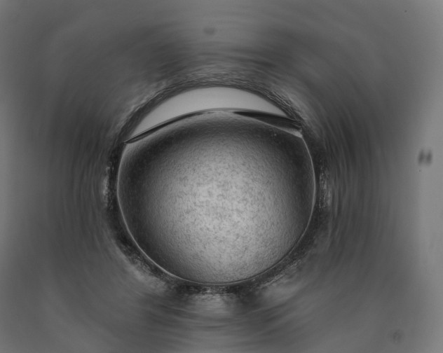 X0000090770404200708031657