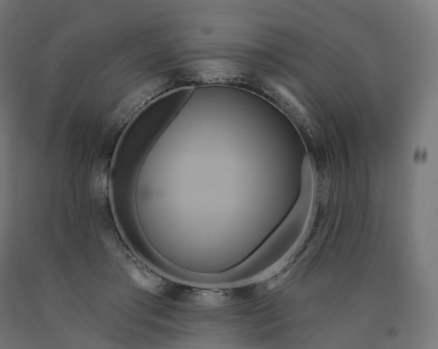 X0000090770405200708031657