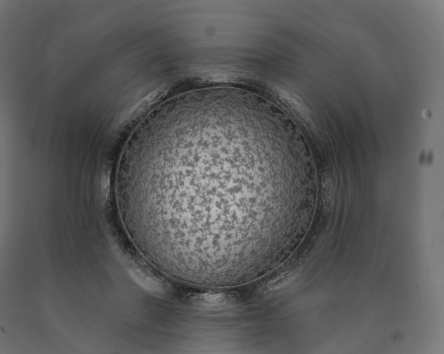 X0000090770406200708031657