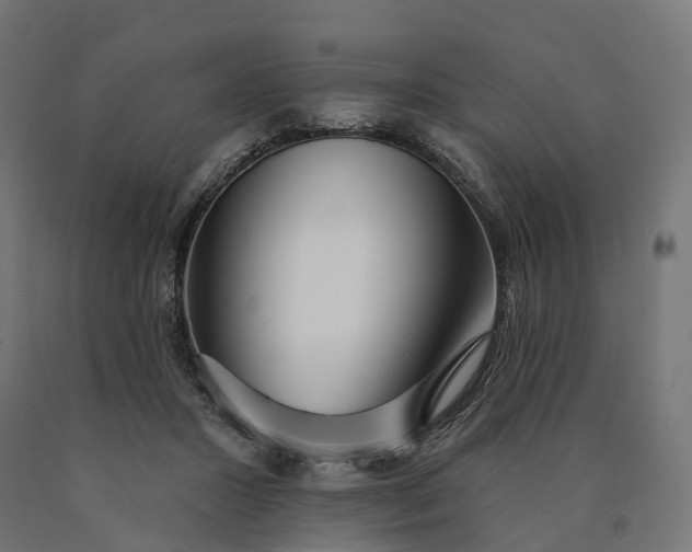 X0000090770407200708031657