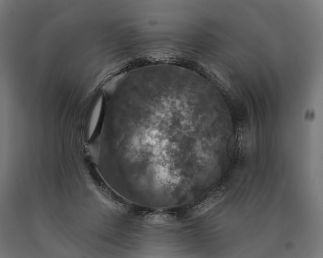 X0000090770408200708031657