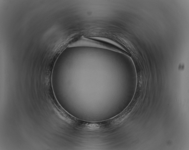 X0000090770409200708031657
