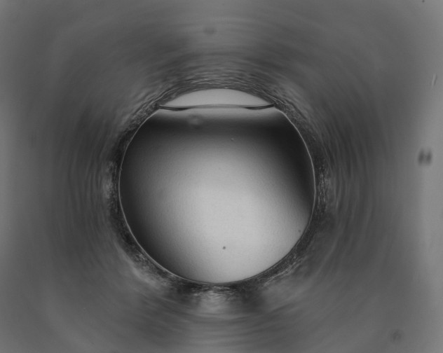 X0000090770412200708031657