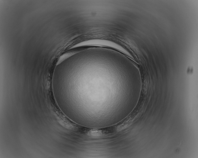 X0000090770413200708031657