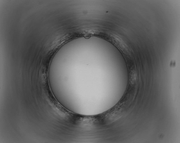 X0000090770414200708031657