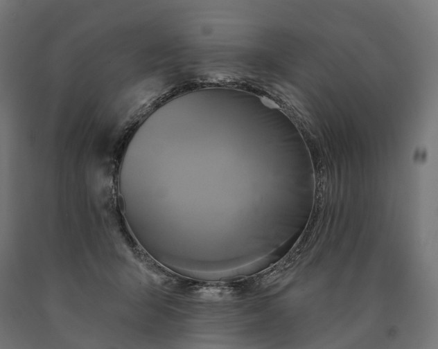 X0000090770415200708031657