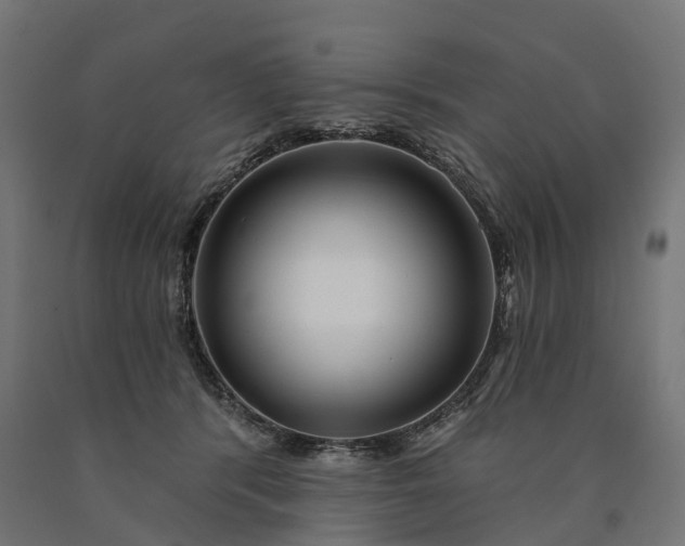 X0000090770416200708031657