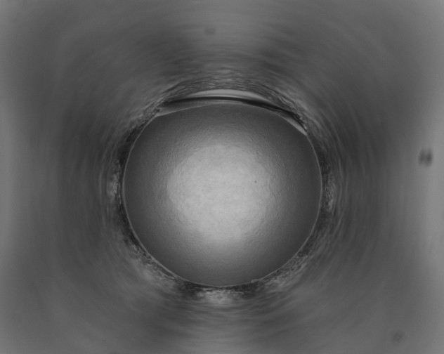 X0000090770417200708031657