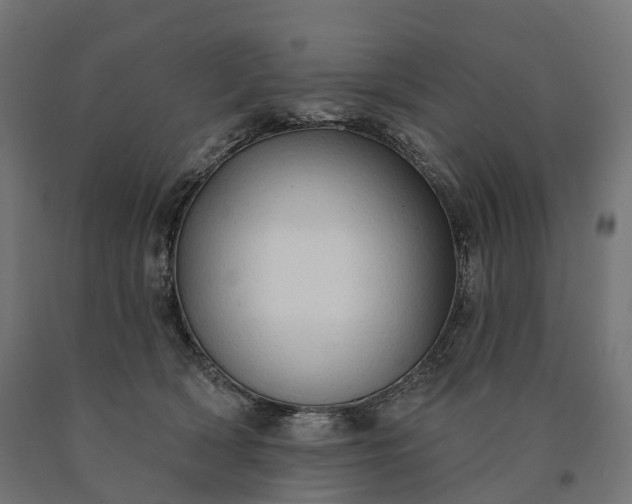 X0000090770418200708031657