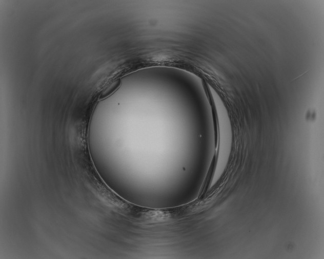X0000090770421200708031657