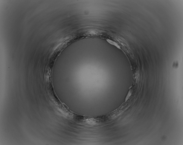 X0000090770423200708031657