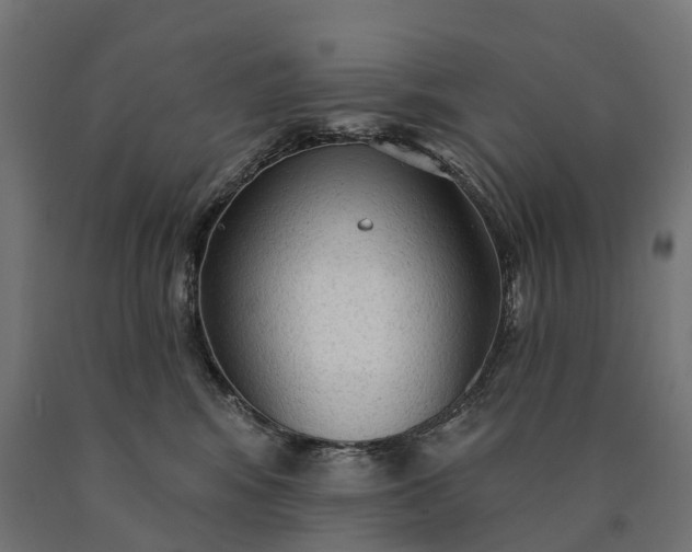 X0000090770424200708031657
