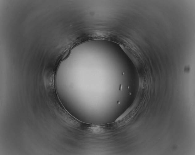 X0000090770425200708031657