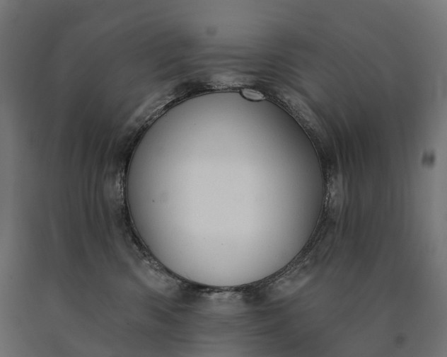 X0000090770426200708031657