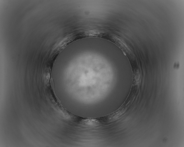 X0000090770427200708031657