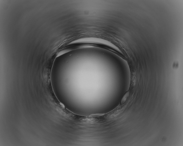 X0000090770428200708031657