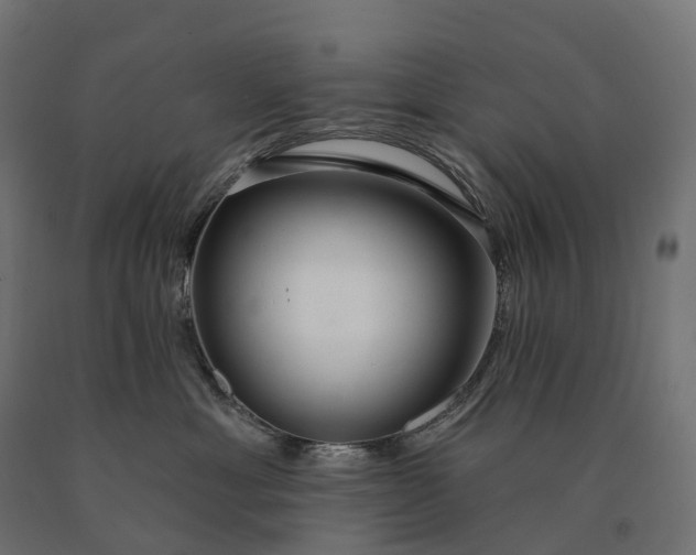 X0000090770429200708031657
