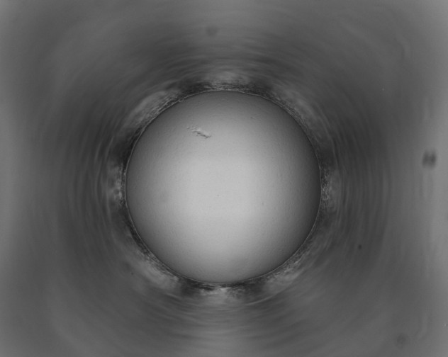 X0000090770430200708031657
