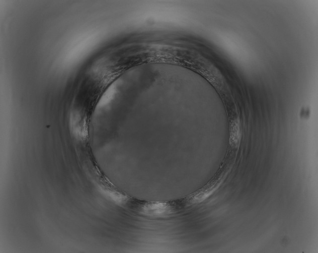 X0000090770431200708031657
