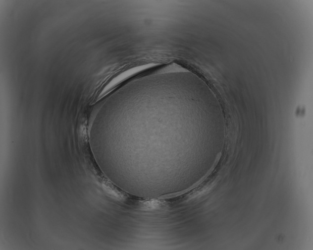 X0000090770432200708031657