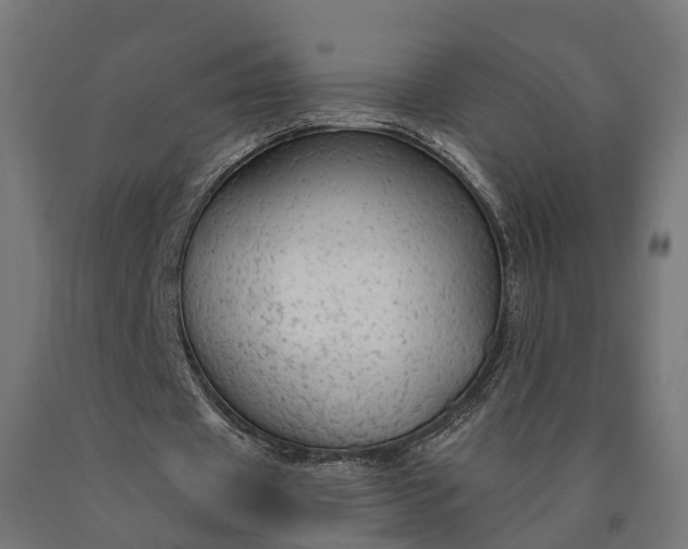 X0000090770433200708031656