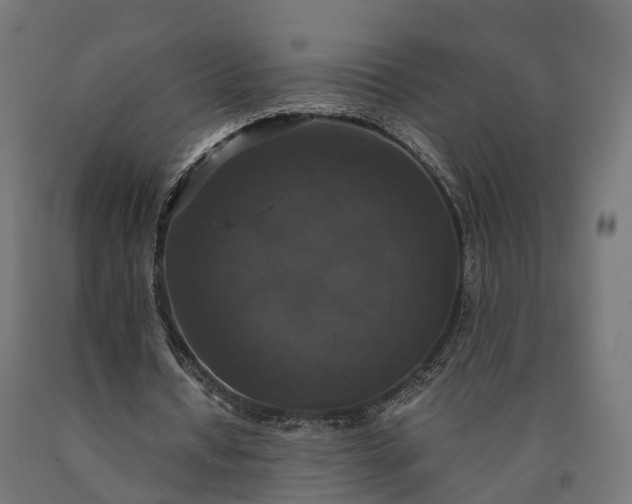 X0000090770434200708031656