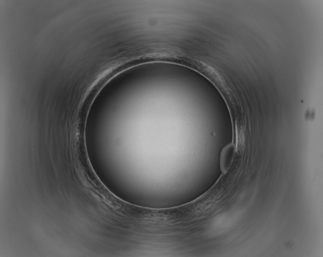 X0000090770435200708031656