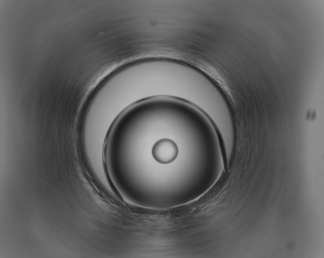 X0000090770436200708031656