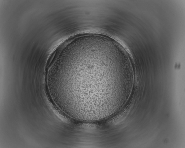 X0000090770437200708031656