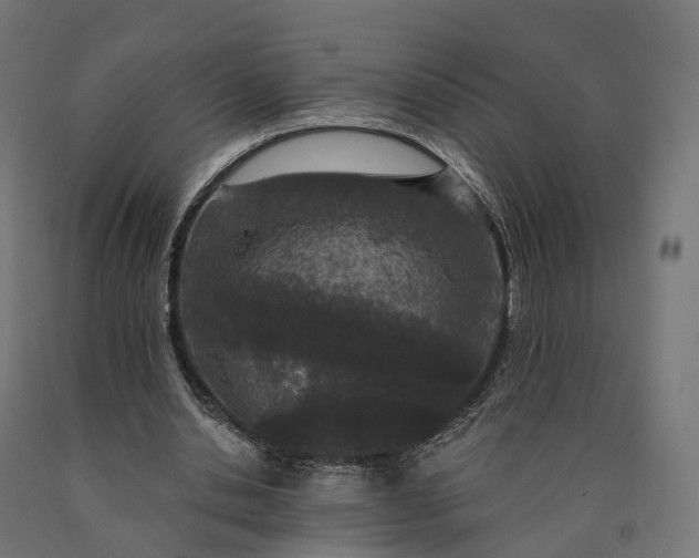X0000090770438200708031656