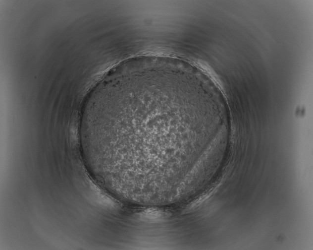X0000090770441200708031656