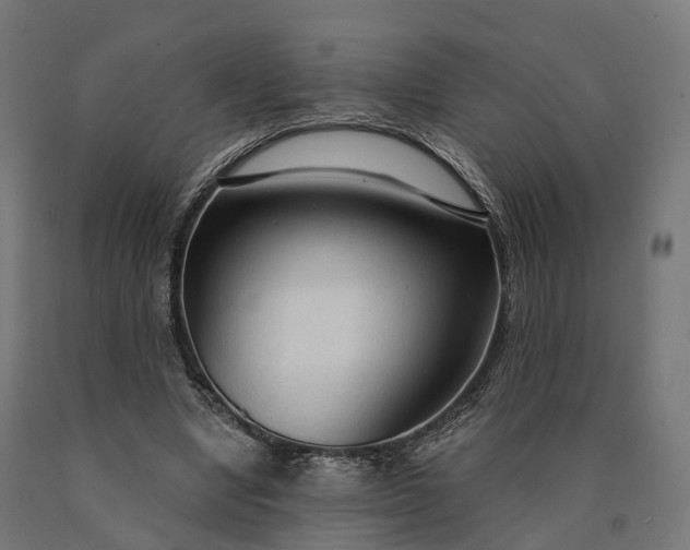 X0000090770442200708031656