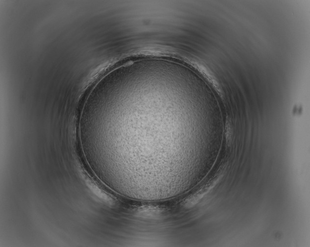 X0000090770445200708031656