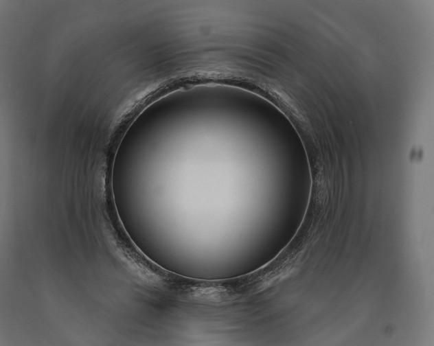 X0000090770446200708031656