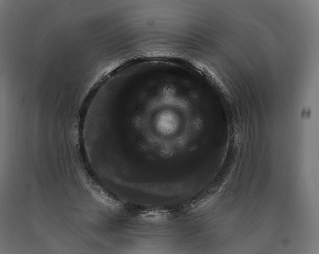 X0000090770447200708031656