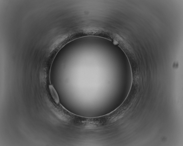 X0000090770448200708031656