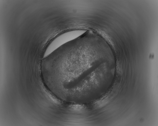 X0000090770449200708031656