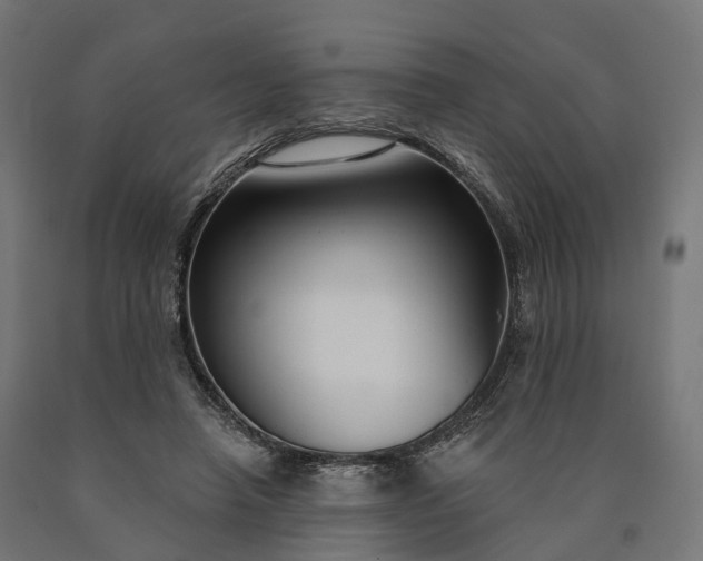 X0000090770450200708031656