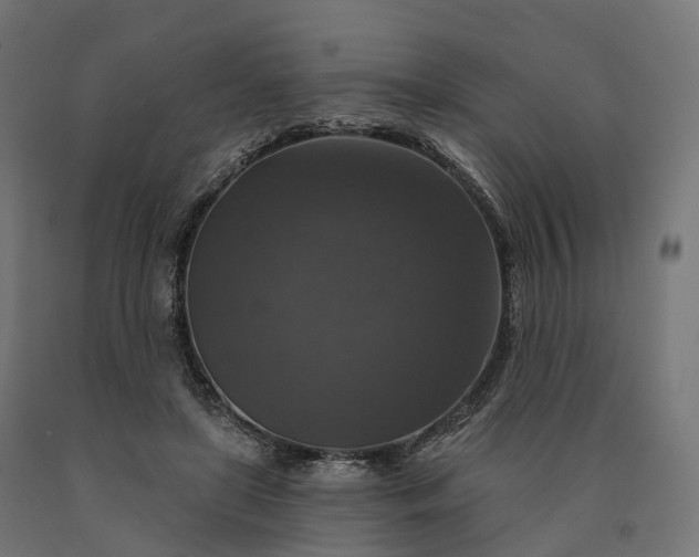 X0000090770451200708031656