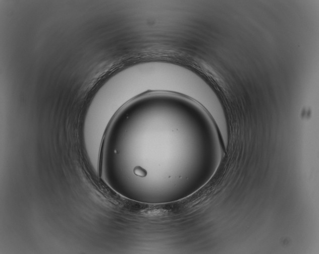X0000090770452200708031656